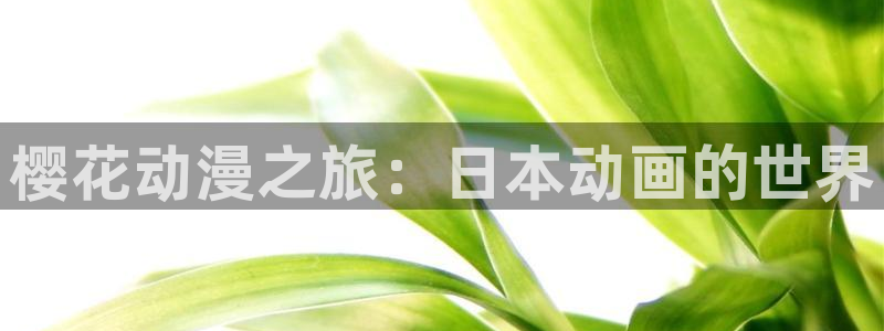 omofun动漫专注动漫的门户网站：樱花动漫之旅：日本动画的世界