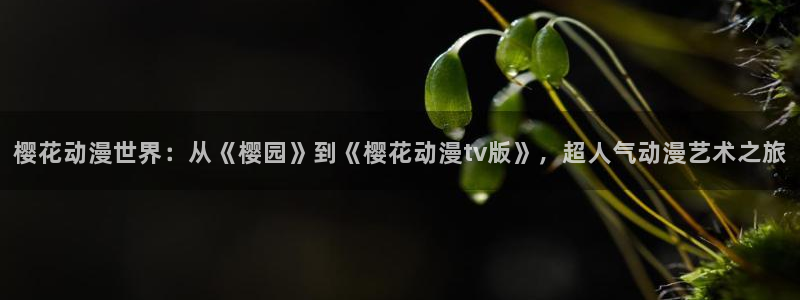 omofun动漫专注动漫的门户网站：樱花动漫世界：从《樱园》到《樱花动漫tv版》，超人气动漫艺术之旅