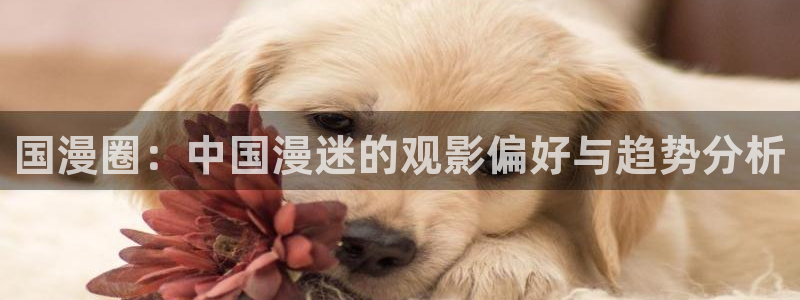 omofun动漫下载入口：国漫圈：中国漫迷的观影偏好与趋势分析