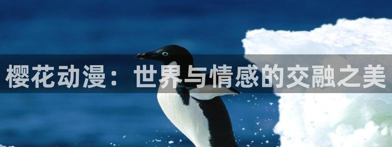 omofun动漫网上看：樱花动漫：世界与情感的交融之美