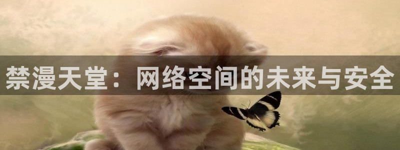 colamanage漫画：禁漫天堂：网络空间的未来与安全