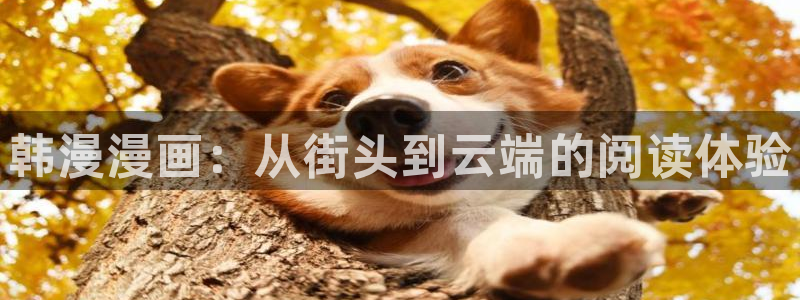 omofun动漫网上看：韩漫漫画：从街头到云端的阅读体验