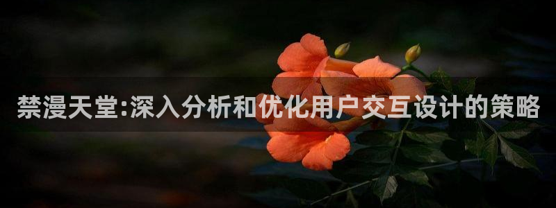 omofun动漫：禁漫天堂:深入分析和优化用户交互设计的策略