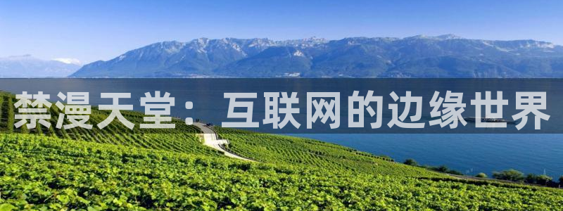 omofun动漫专注动漫的门户网站：禁漫天堂：互联网的边缘世界