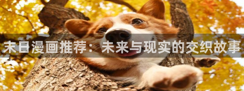 下载omofun动漫：末日漫画推荐：未来与现实的交织故事