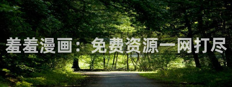 韩国漫画平台kakaopage：羞羞漫画：免费资源一网打尽