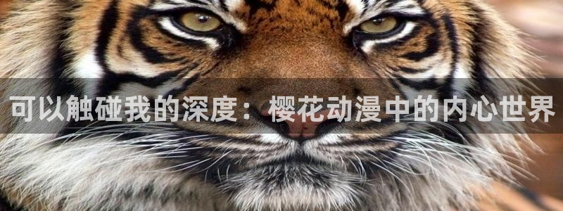 下载omofun动漫：可以触碰我的深度：樱花动漫中的内心世界