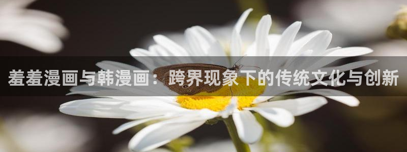 kakaopage韩漫官网：羞羞漫画与韩漫画：跨界现象下的传统文化与创新