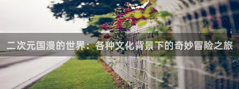 backstage韩漫免费观看：二次元国漫的世界：各种文化背景下的奇妙冒险之旅